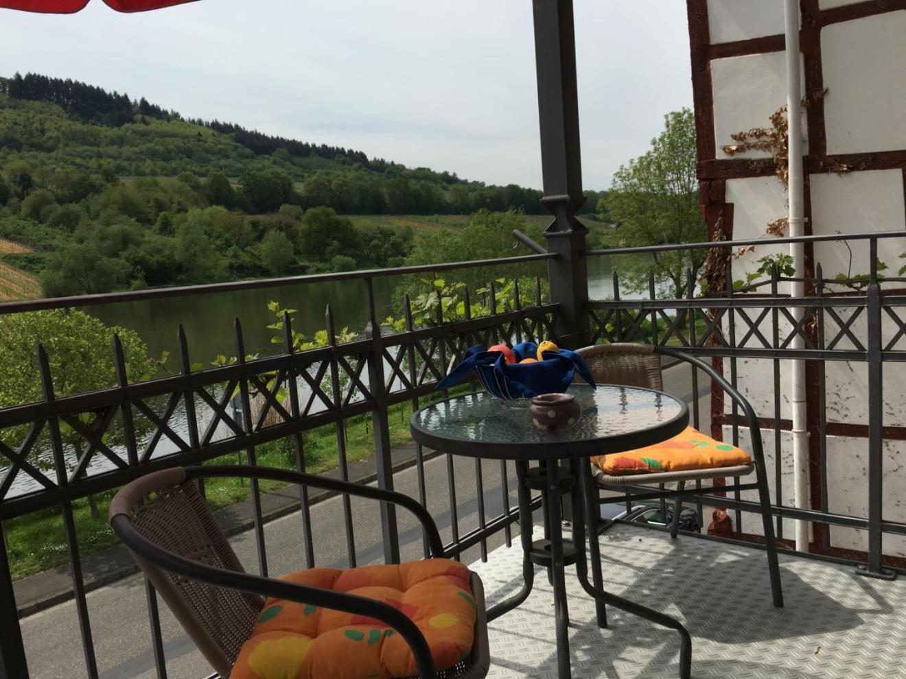 צל אן דר מוזל Ferienhaus Moselmerle מראה חיצוני תמונה